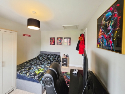 Picture 21